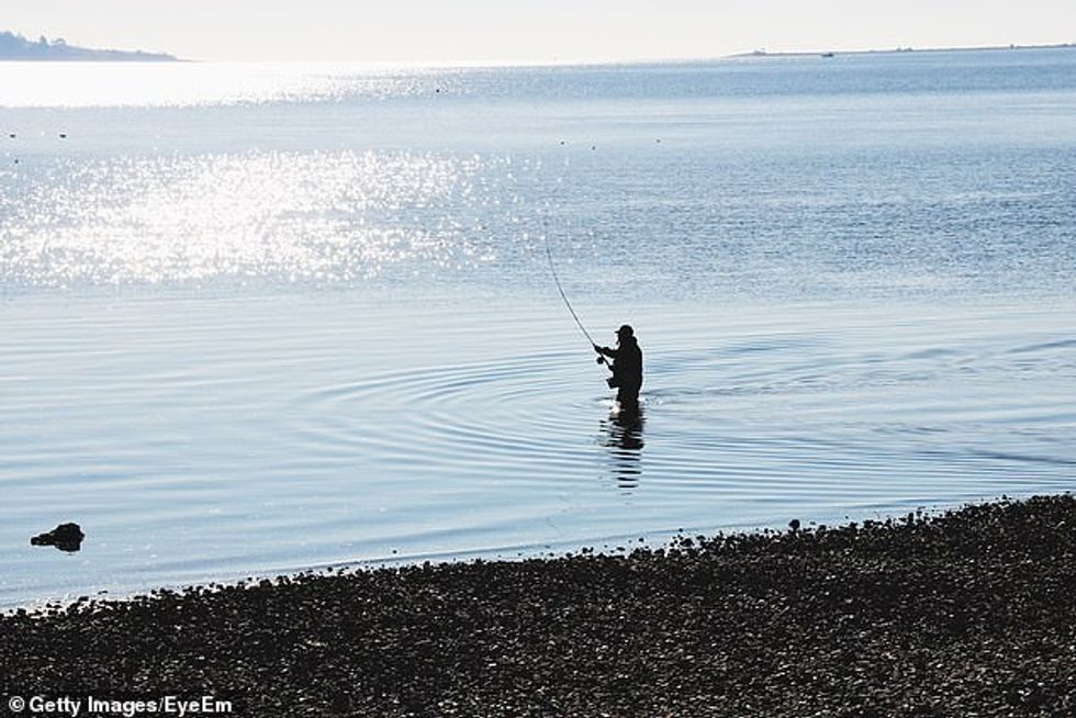 24315574 7966983 image a 2 1580856989540