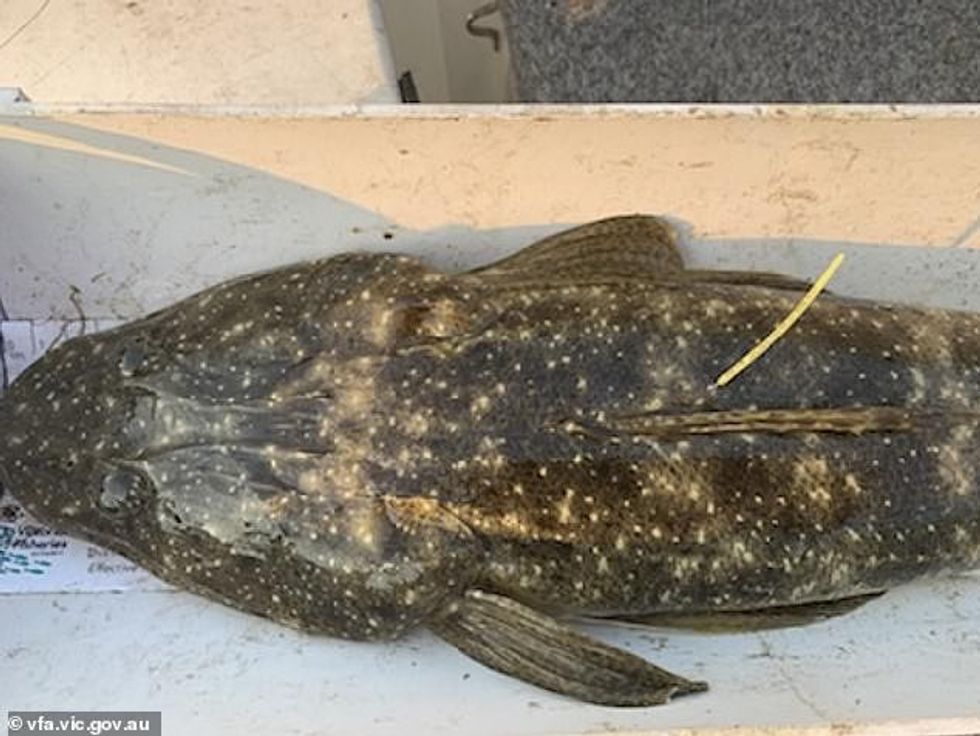 24315778 7966983 image a 3 1580856994402