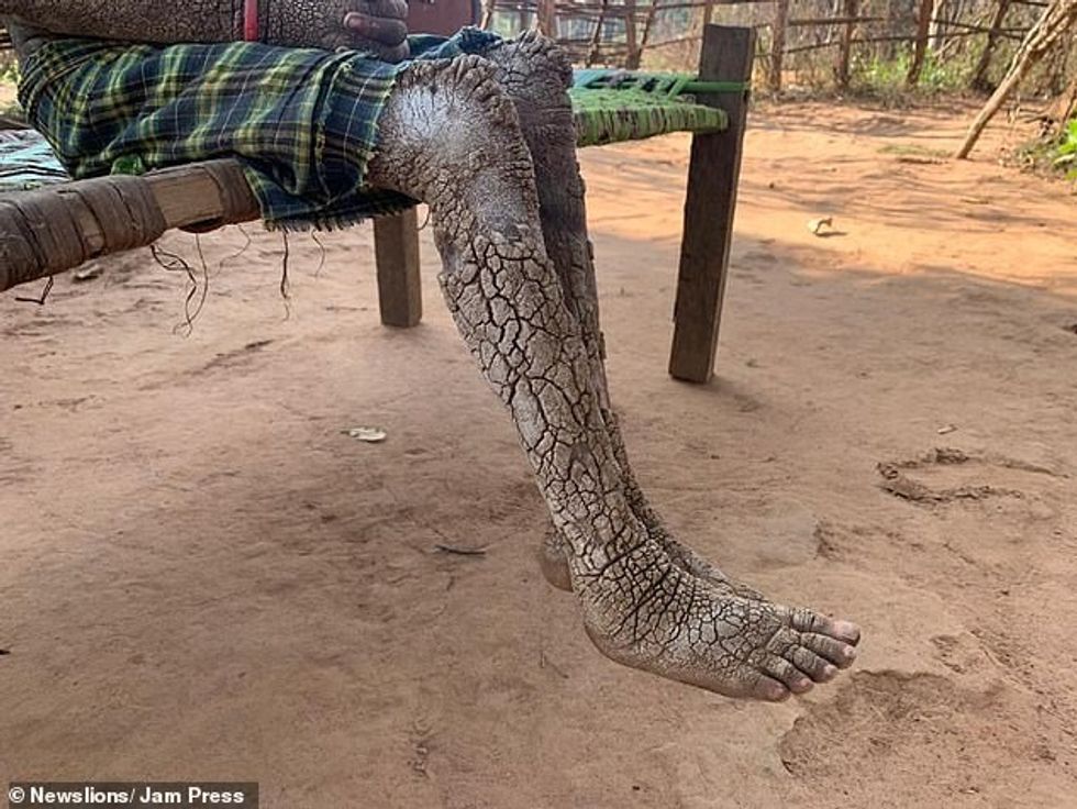 24387190 7973289 image a 2 1580985076986