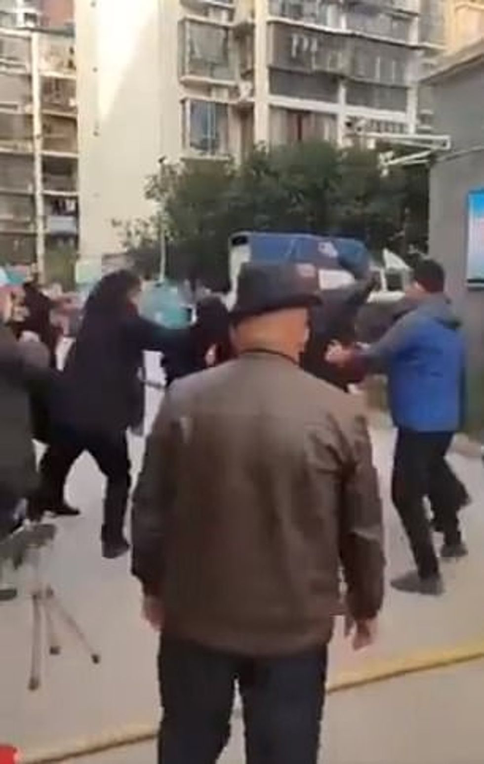 24394736 7973915 image a 17 1580997508046