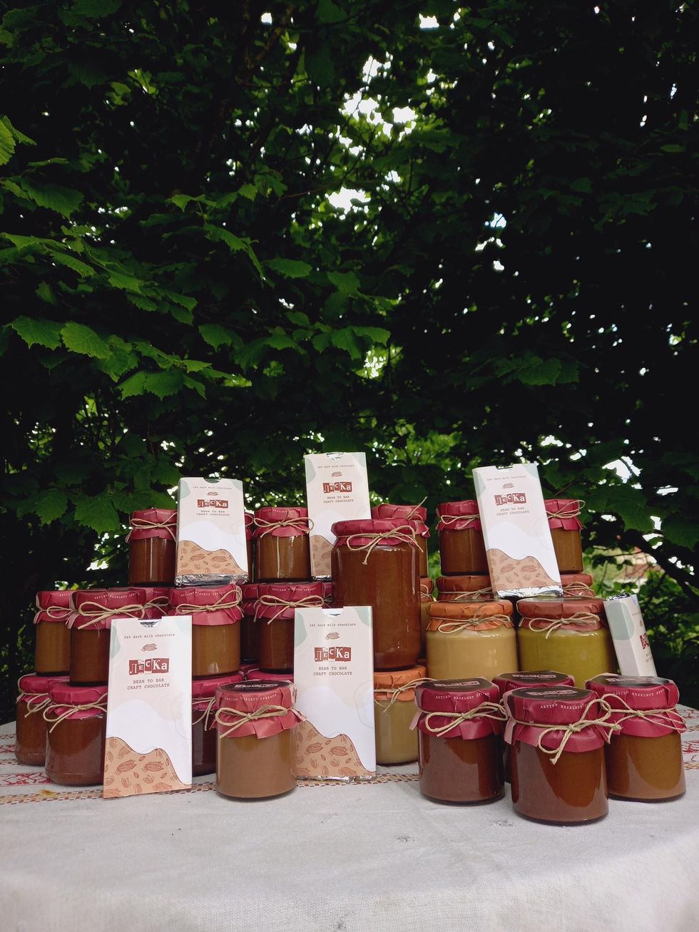 243968708 822525085071961 1558243877718296132 n