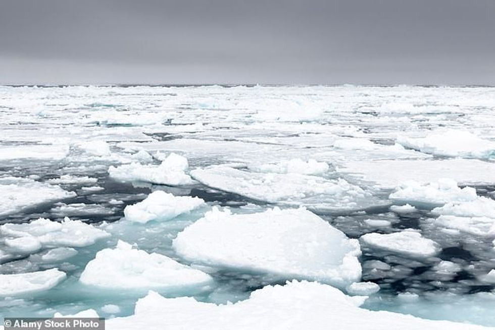 24404054 0 image a 2 1581010136775