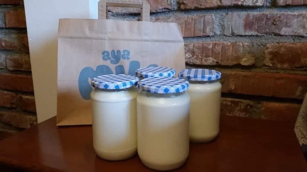 244122236 2753626958269198 4390365188689095779 n