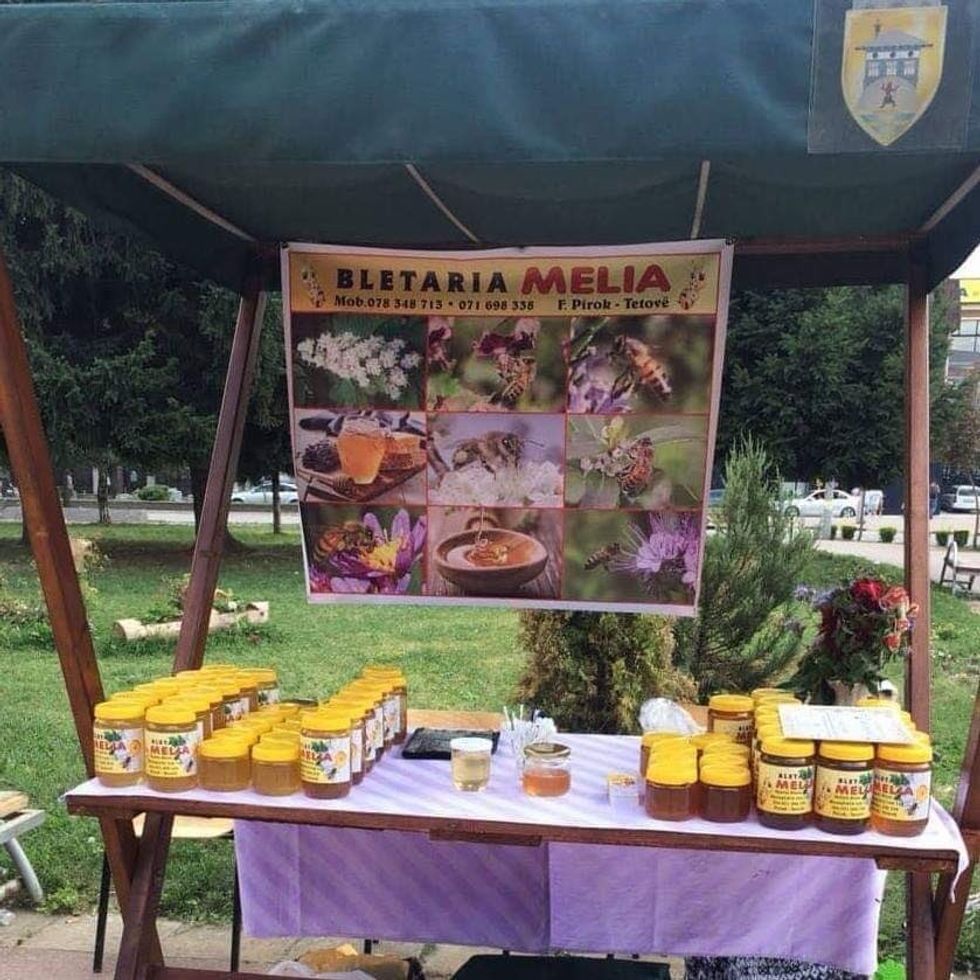 244303084 327576075807820 804976407347457100 n