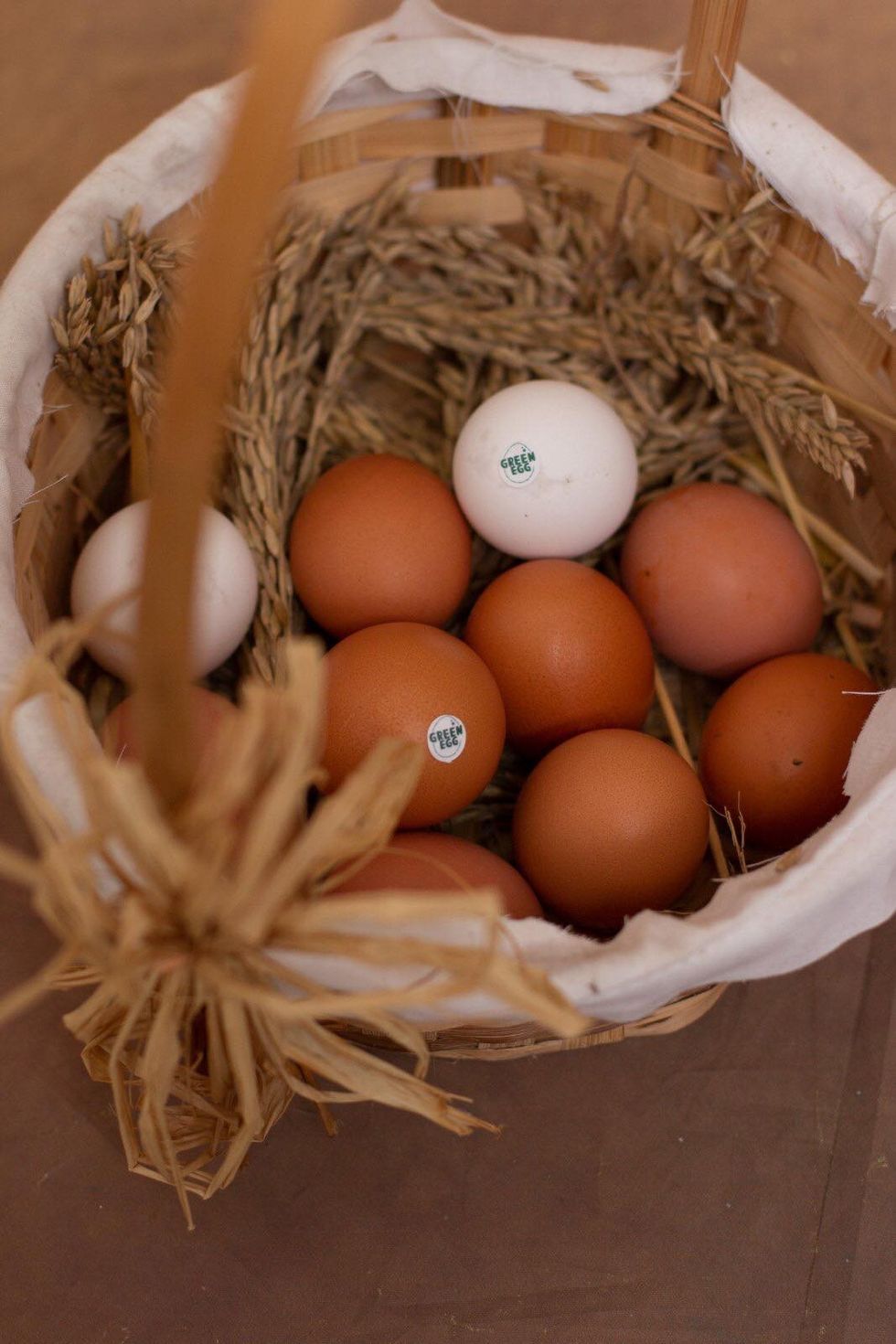 244318993 316203283602344 7988864380803721849 n