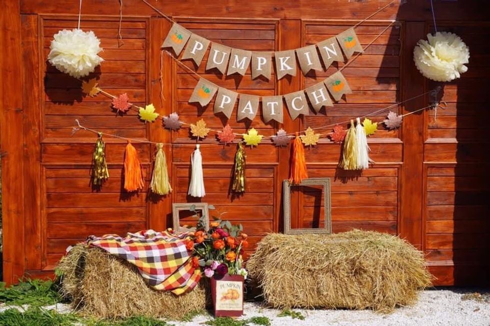 244334554 1209922999511583 168825326083141543 n