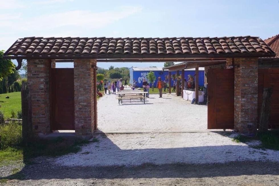 244384984 244631354299025 6899818443564648850 n