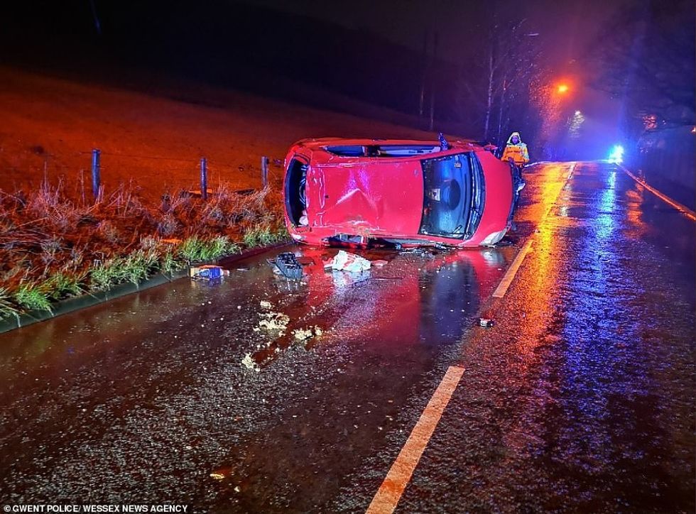 24502038 7983523 image a 2 1581242958101