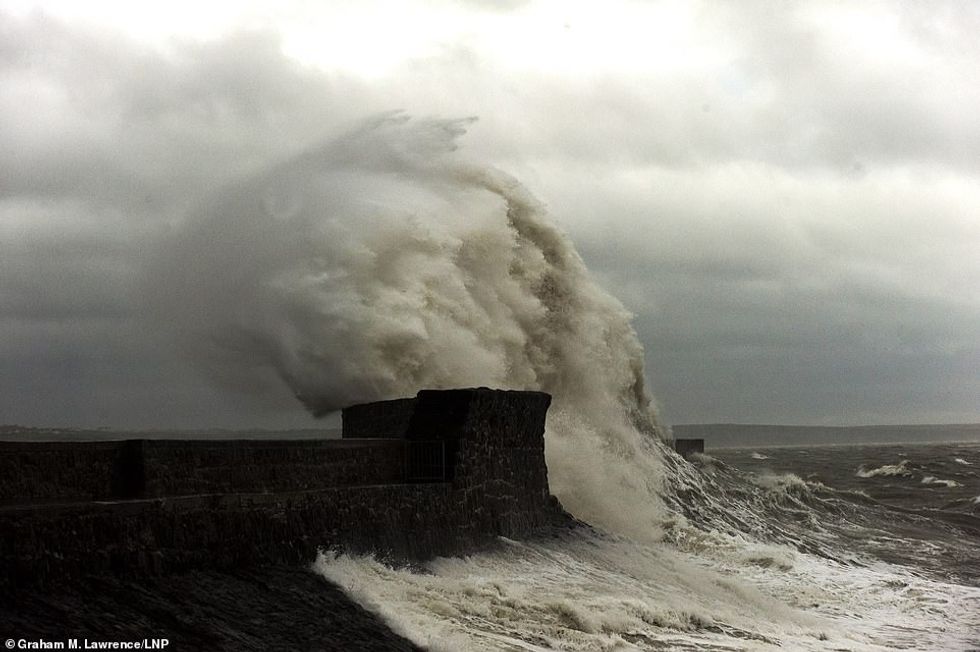 24502722 7983523 image a 10 1581244508187