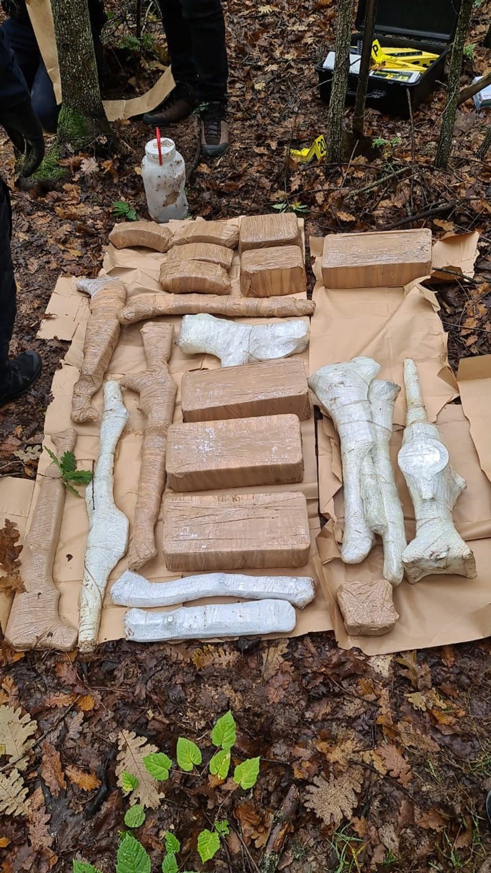 245214106 466985528039803 7475031798912607191 n