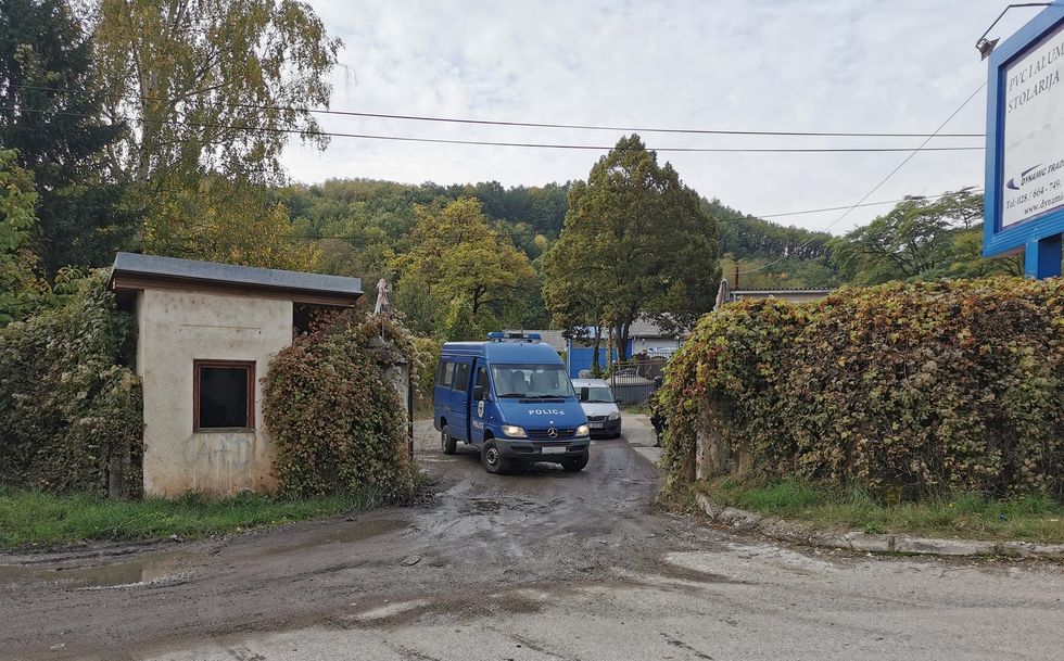 245460515 10219455849283982 8481605620675090575 n