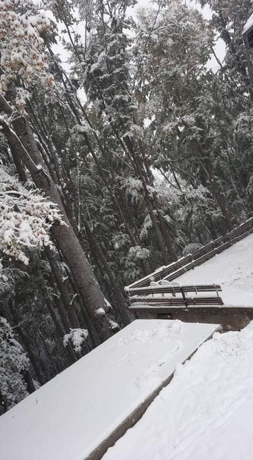 245545573 1607289862941526 1602511317446093560 n 1