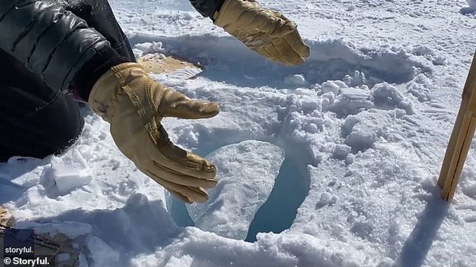 24690464 7996531 image a 4 1581590669530