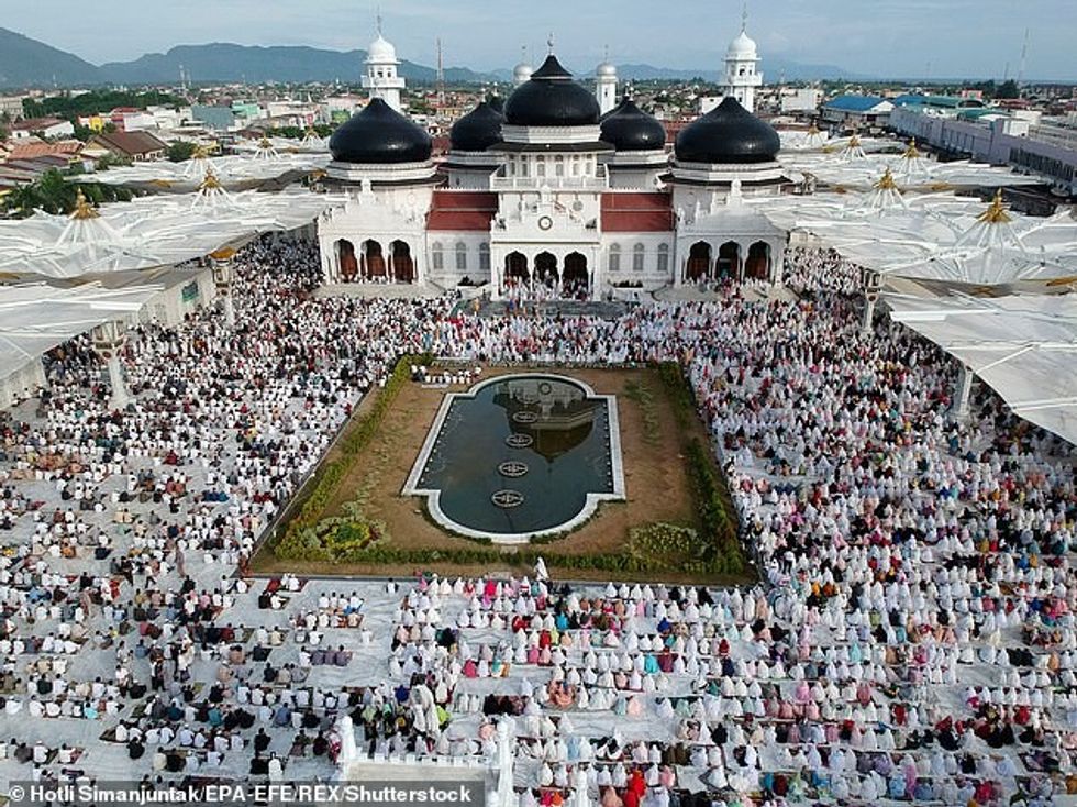 24696388 7999733 image m 23 1581601017070