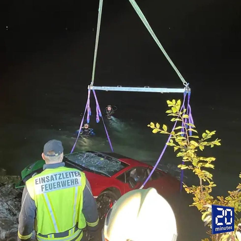 247138676 10158295658471957 2034578880907113753 n