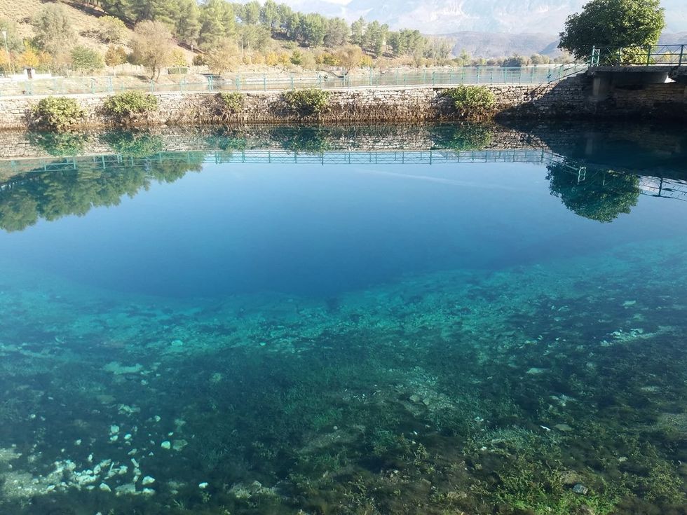 247364356 2015953548553095 8877832790459819324 n