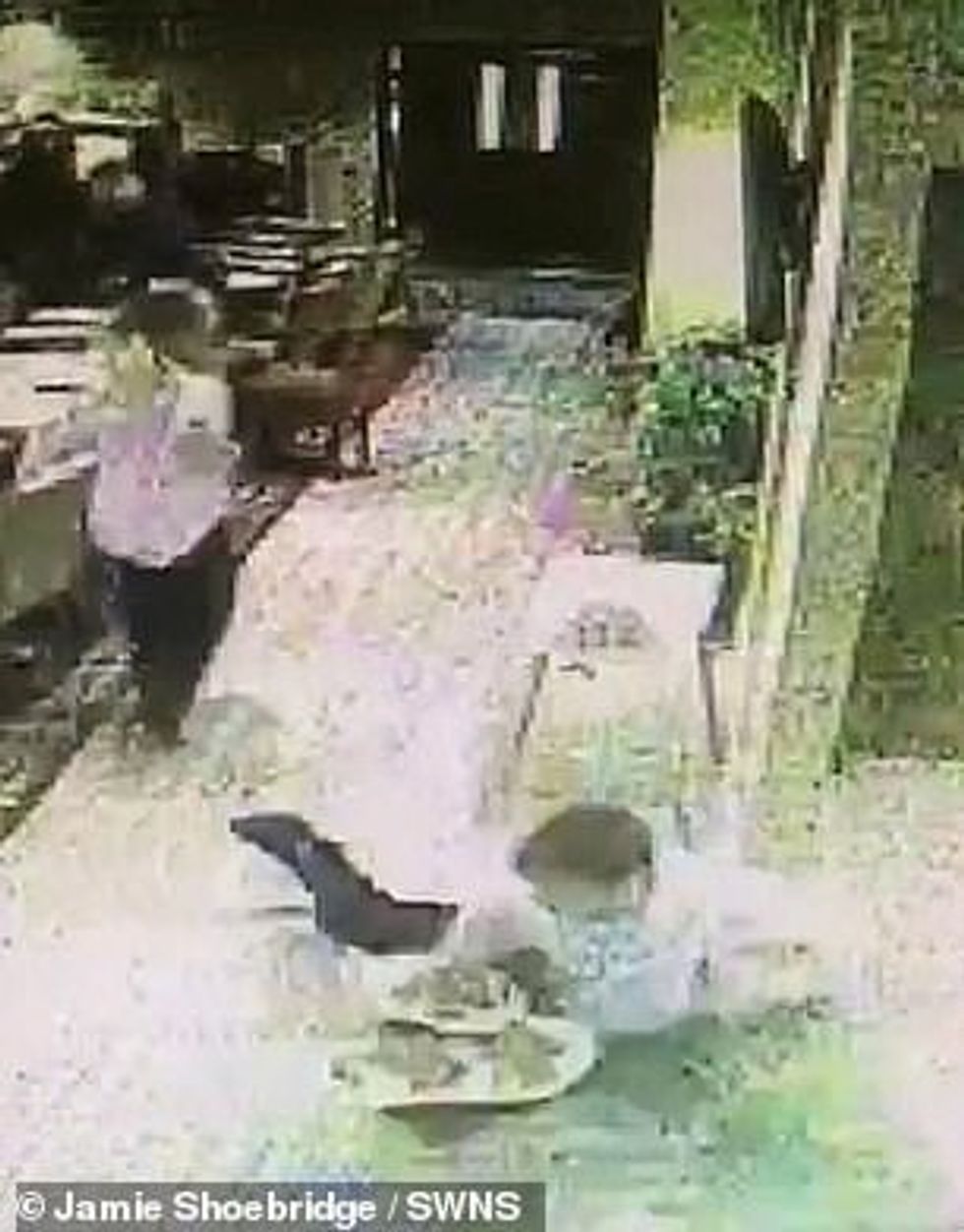 24737154 8004065 image m 52 1581685574375