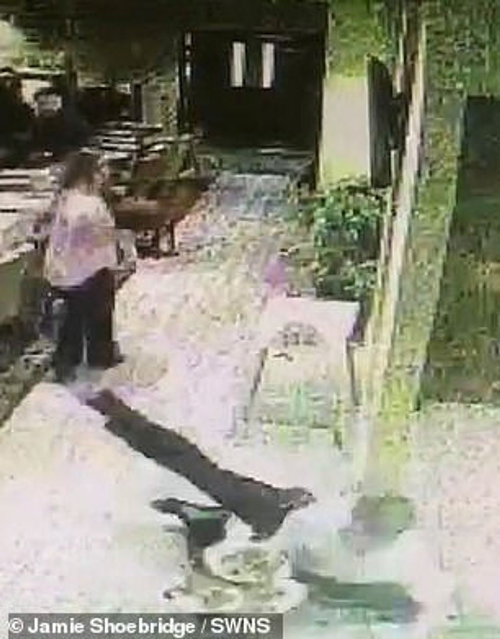 24737158 8004065 image a 53 1581685581256