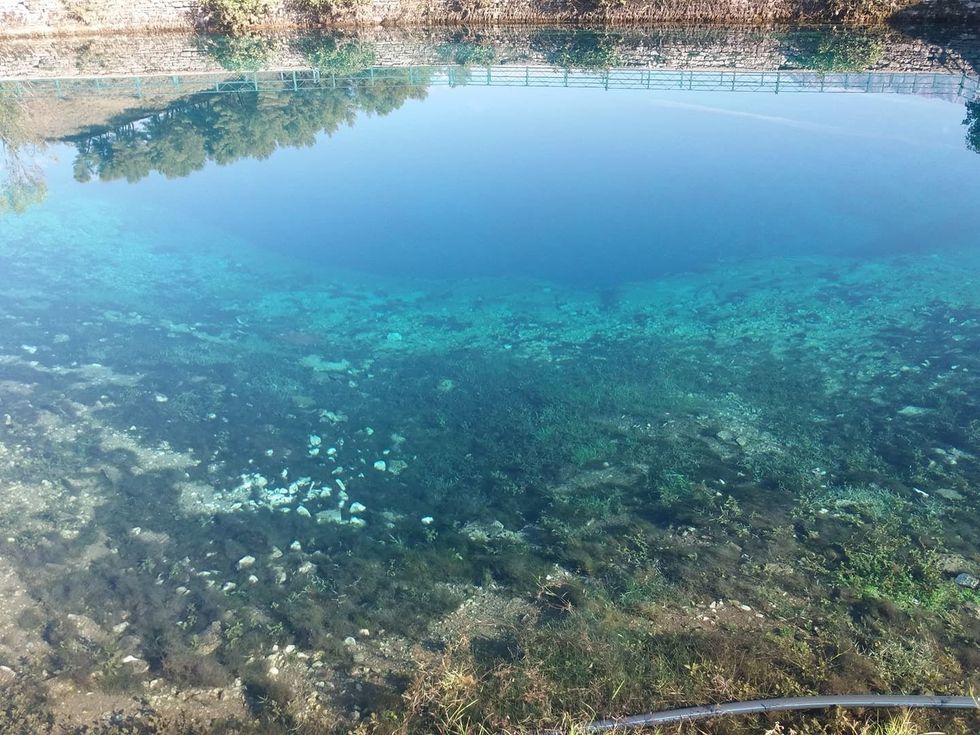 247639253 2015953371886446 3611143076804611789 n