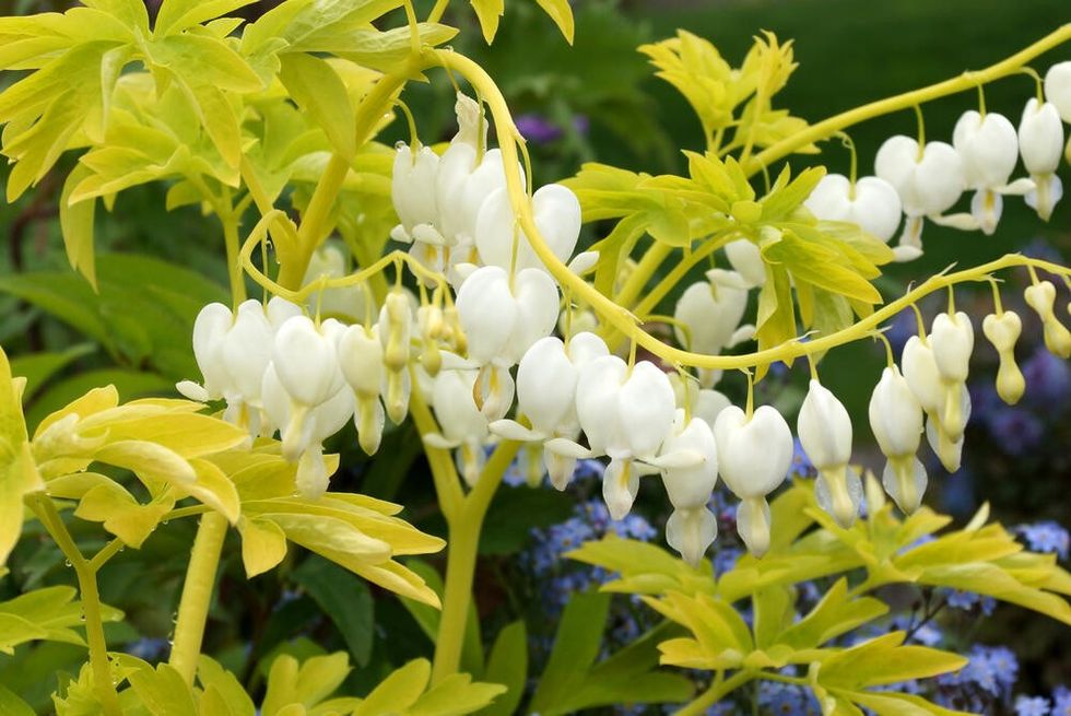 247715 shutterstock 1492107644 ff