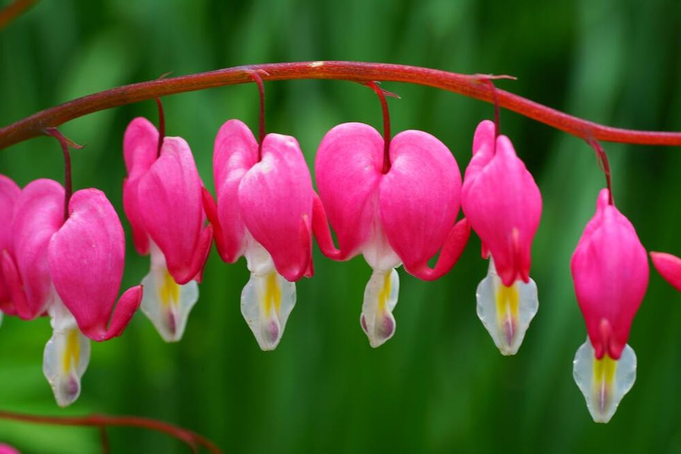 247719 shutterstock 1712881840 ff