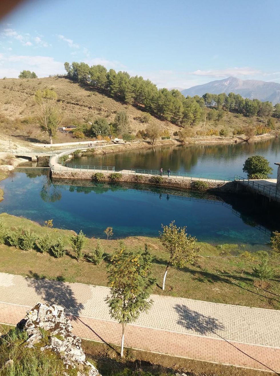 248000362 2015953365219780 6726699051957966696 n