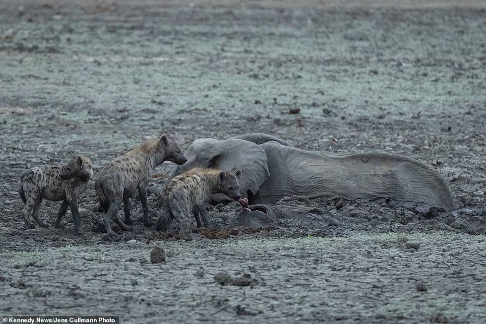 25015526 8028539 image a 43 1582280805332