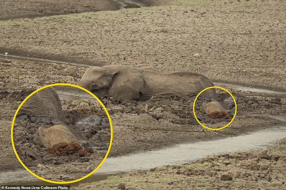 25015548 8028539 image a 36 1582288460432