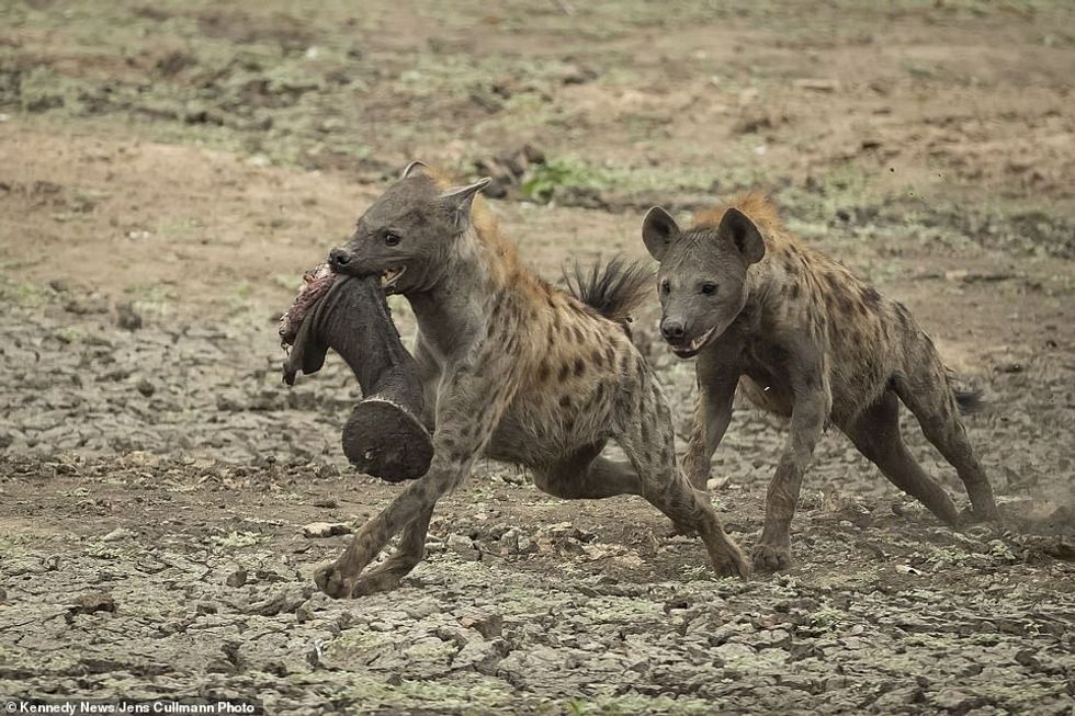 25015554 8028539 image a 39 1582280790154