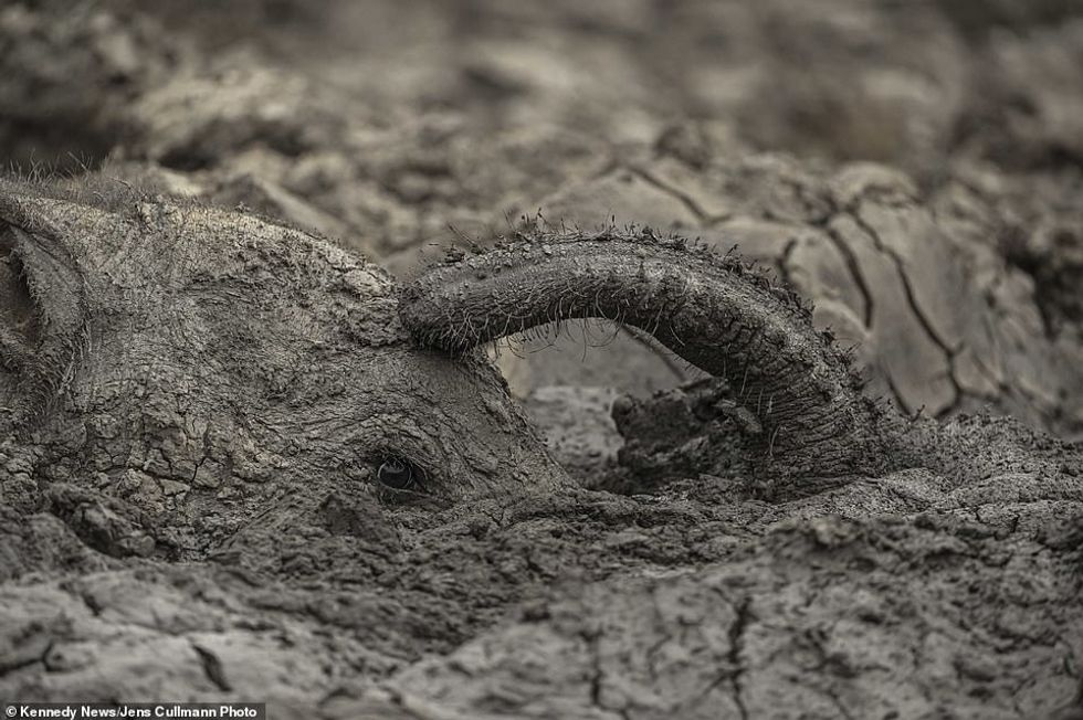 25015578 8028539 The baby pictured here almost fully submerged in the pool was ki a 6 1582286927878