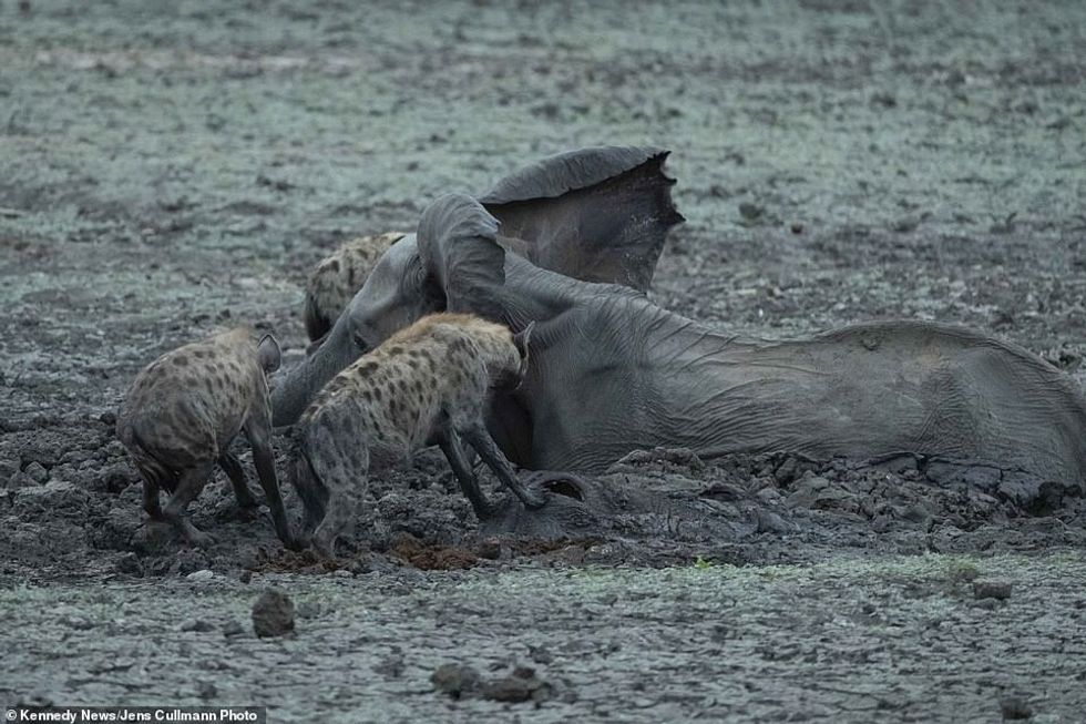 25015586 8028539 image a 48 1582280829549