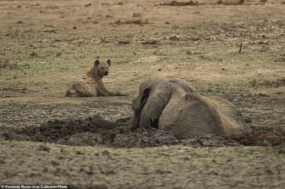 25015588 8028539 image a 49 1582280835200