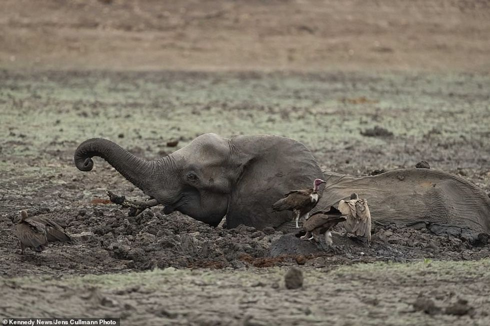 25015594 8028539 image a 54 1582280859580