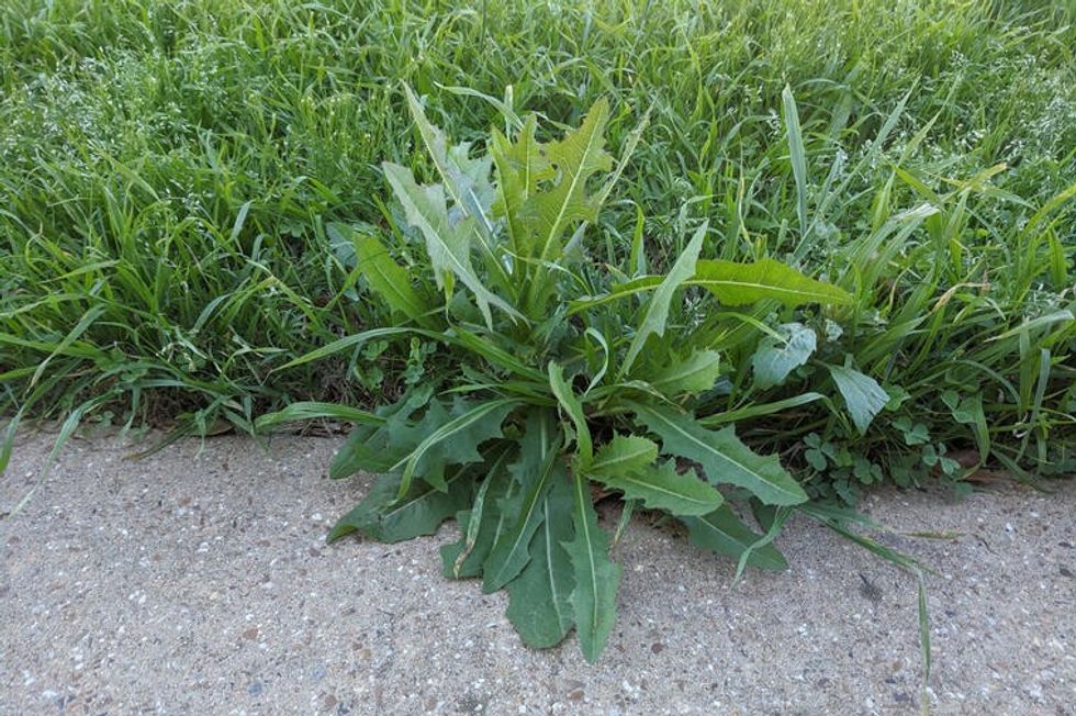 252047 shutterstock 1682102260 ls