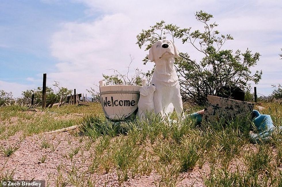 25626992 8083141 The entrance to Boulder City Pet Cemetery in Nevada Zach says it a 6 1583761942710