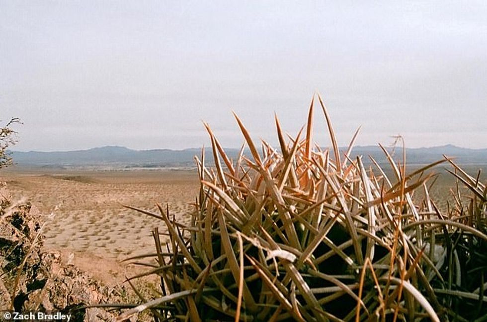 25627000 8083141 A view across the desert taken in Barstow California Zach grew u a 13 1583761942716