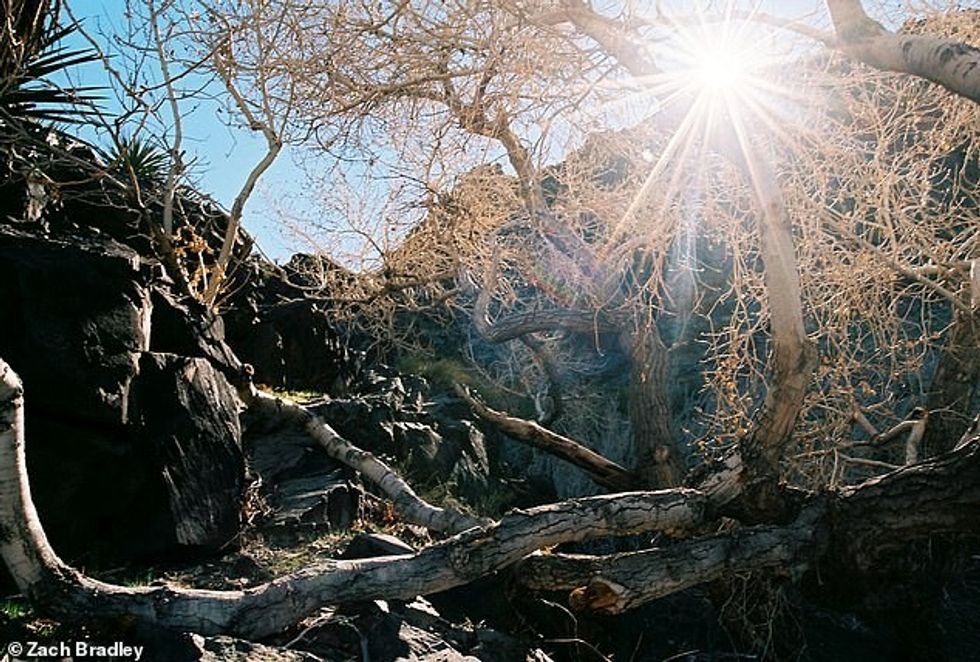 25627030 8083141 Zach shot this image in the Ord Mountains a 14 mile mountain ran a 18 1583761942720
