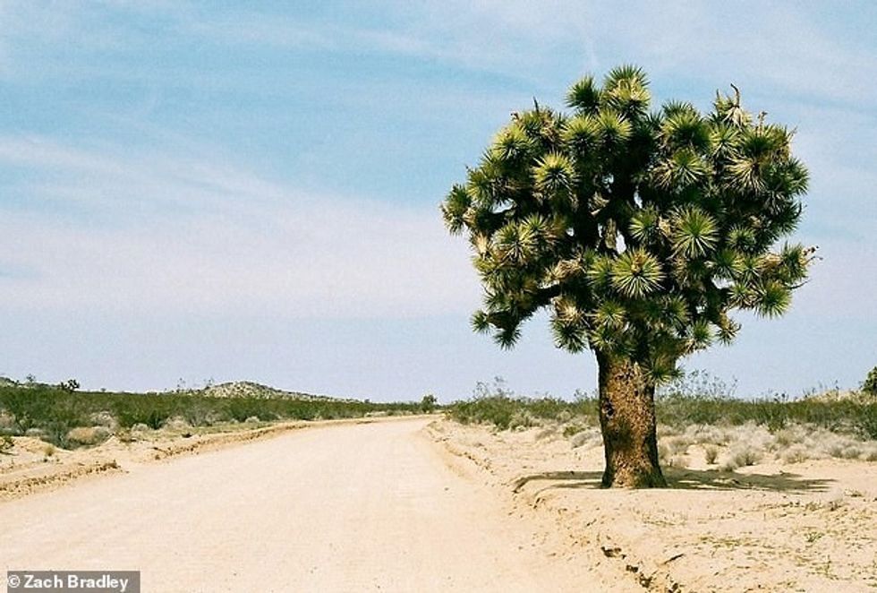 25627034 8083141 This snap was captured by Zach on the dry dusty road to Rainbow a 15 1583761942717
