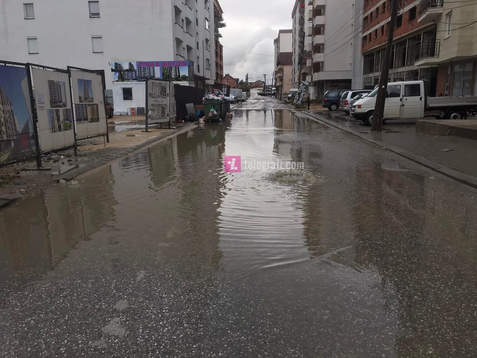 259334494 1353708108424715 304325856265415975 n