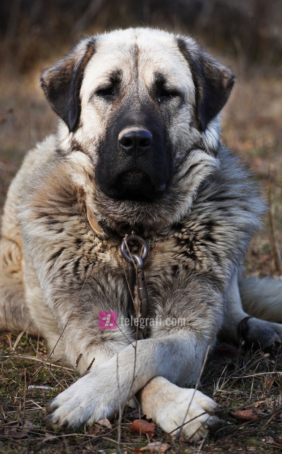 259706455 187764456808706 6341811945388482651 n