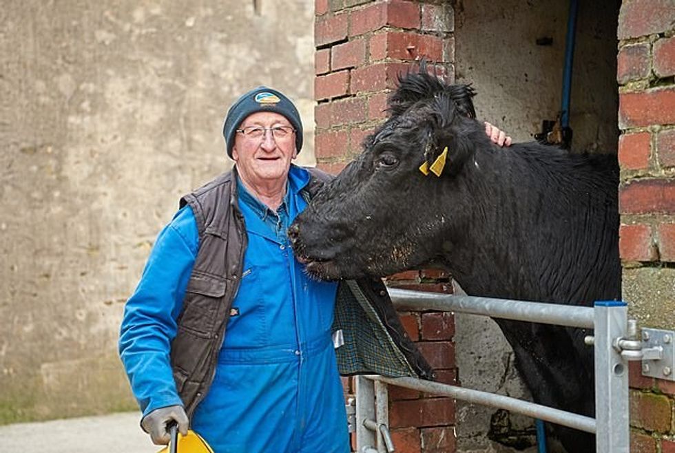 25973376 8112635 image a 11 1584210700800