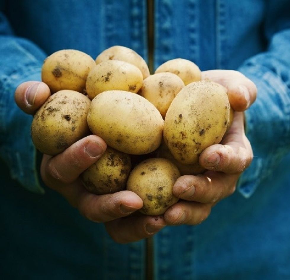 25c75513 6f9f 4ef7 a684 61024add6945