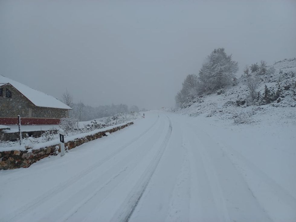 260624694 439358631139733 5208250932109777077 n