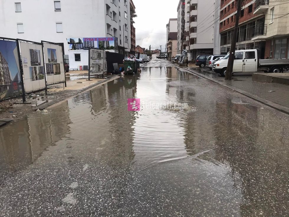 261368573 607639736950316 9095179714815606541 n