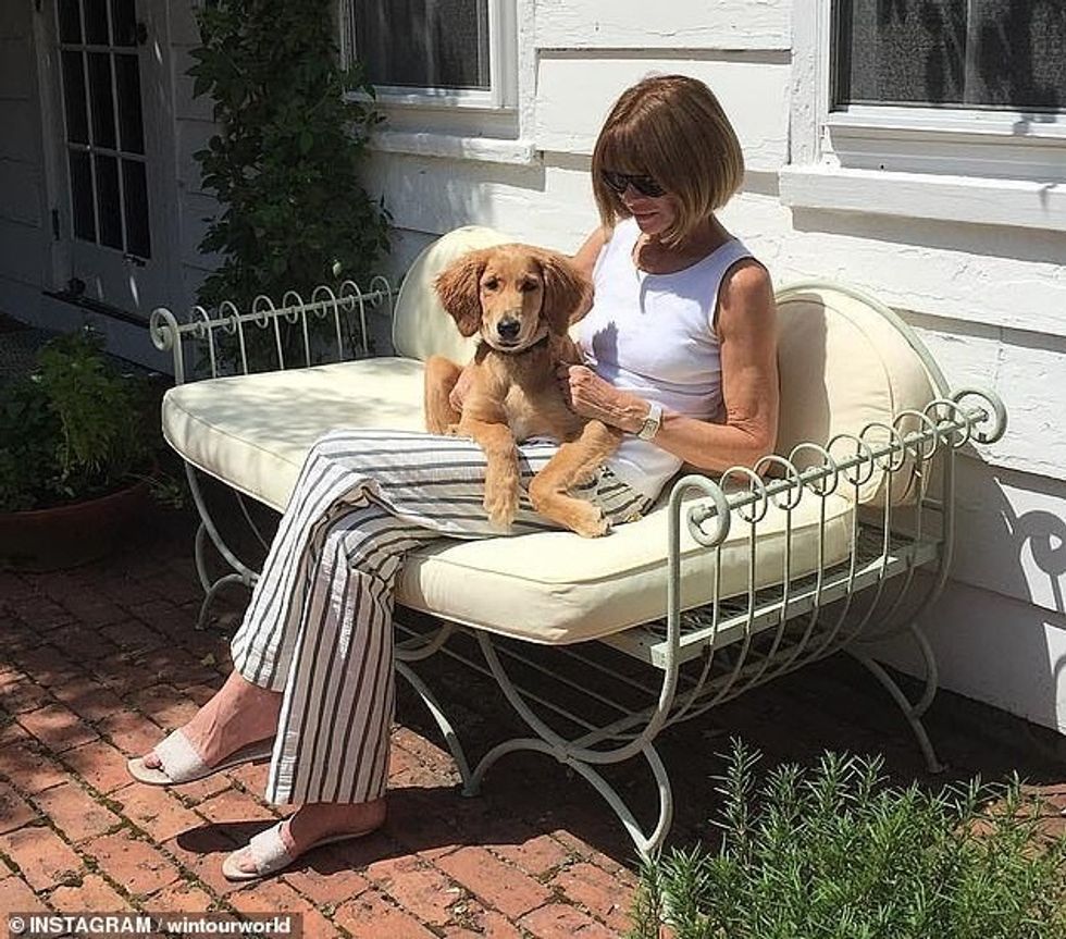 26223094 8136483 image m 7 1584741159458