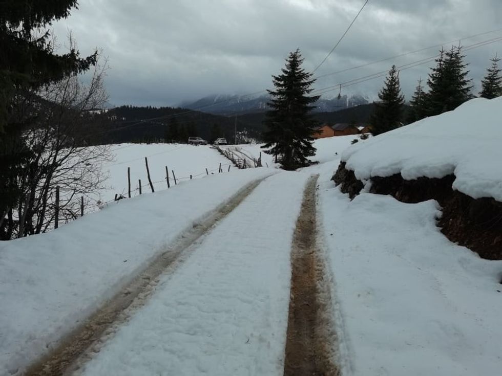 262378493 4731196563607509 7228678087109956674 n