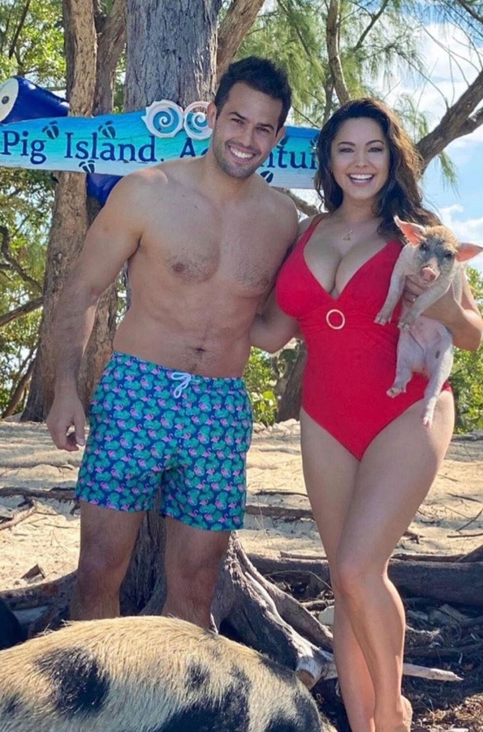 26631 profimedia0485126146 ff