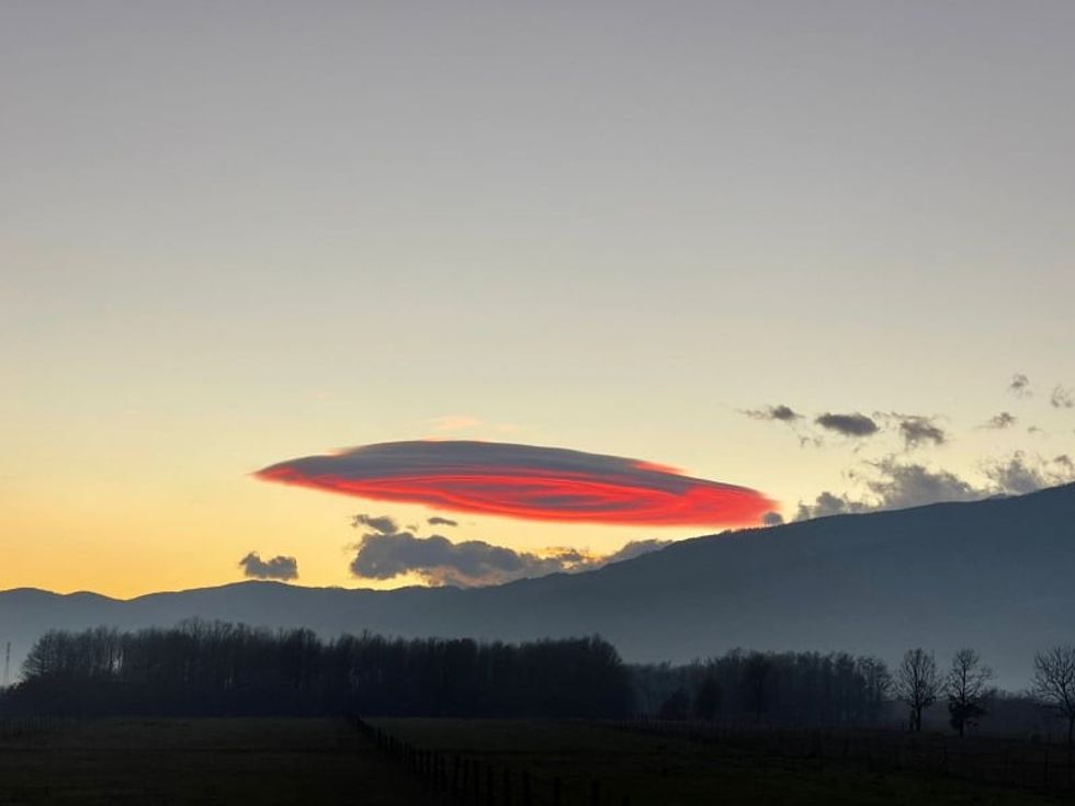 270209745 209214244755531 8612288262117384803 n