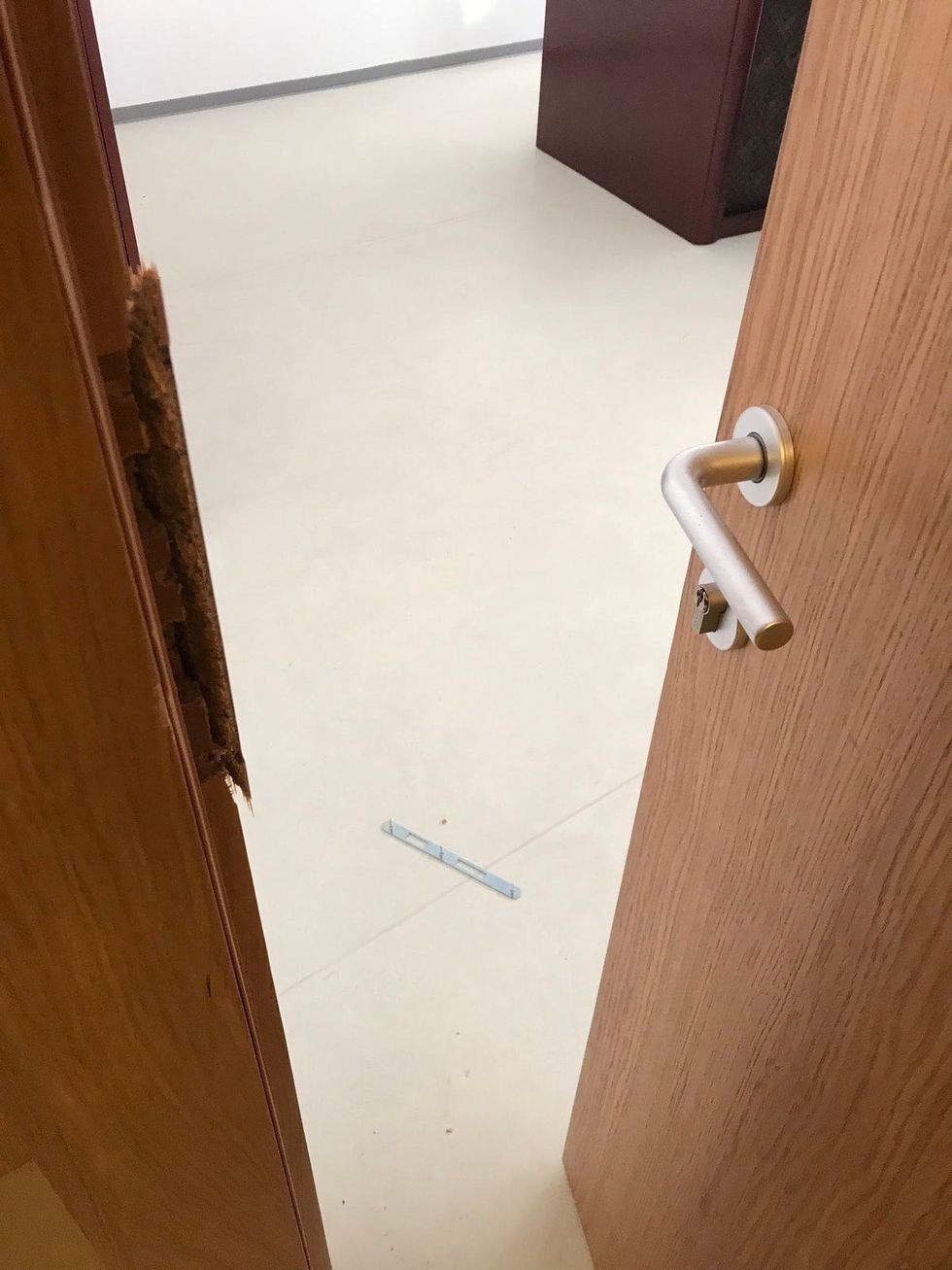 271850827 4741025389267460 7591690603345870725 n 1