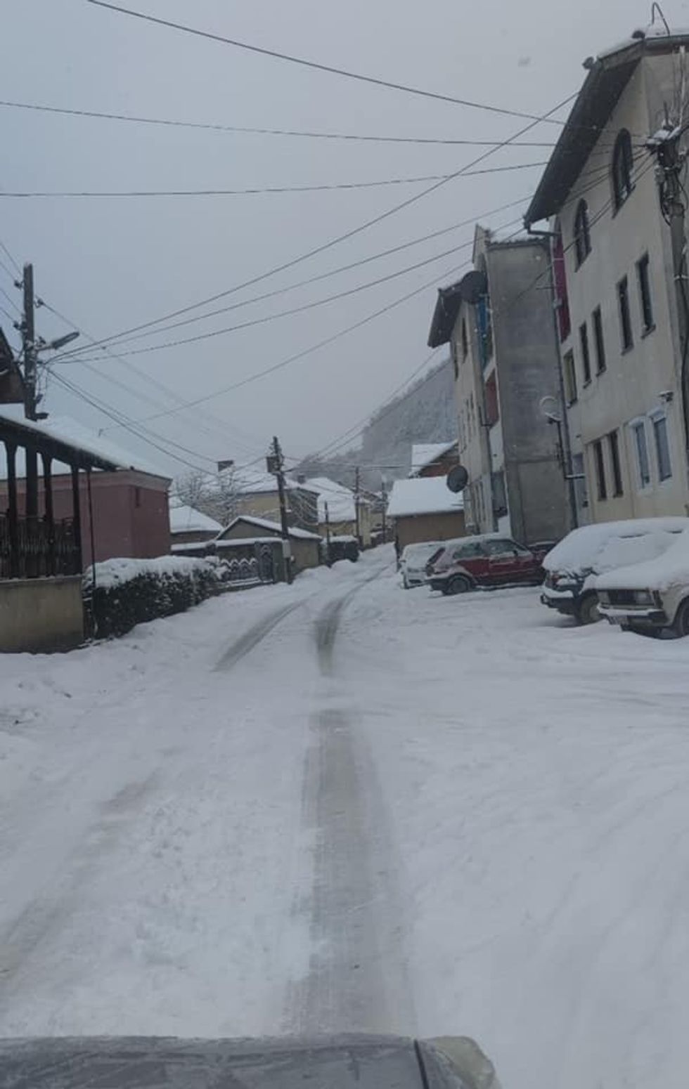 273629785 231916165815316 7710908867782338112 n